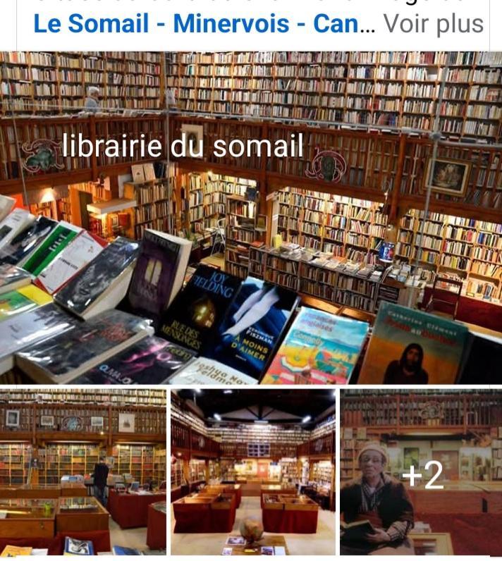La Villa Du Menhir Chambre D'Hotes ビズ・ミネルヴォワ エクステリア 写真