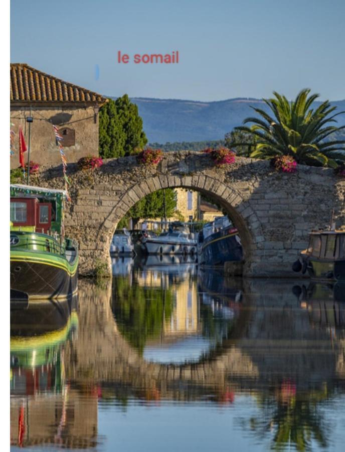 La Villa Du Menhir Chambre D'Hotes ビズ・ミネルヴォワ エクステリア 写真